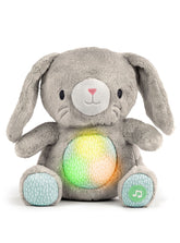 Ingenuity™ Heart to Hugs™ Sylvi™ – Plush Bunny