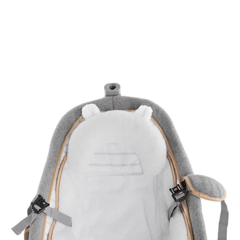 INGENUITY Boutique Collection™ Rocking Seat™ - Bella Teddy™