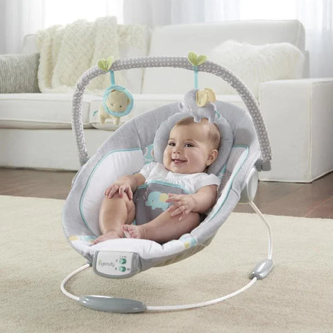 INGENUITY Morrison™ - Soothing Bouncer