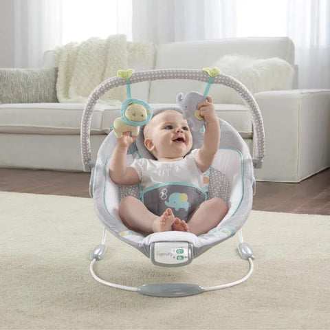 INGENUITY Morrison™ - Soothing Bouncer