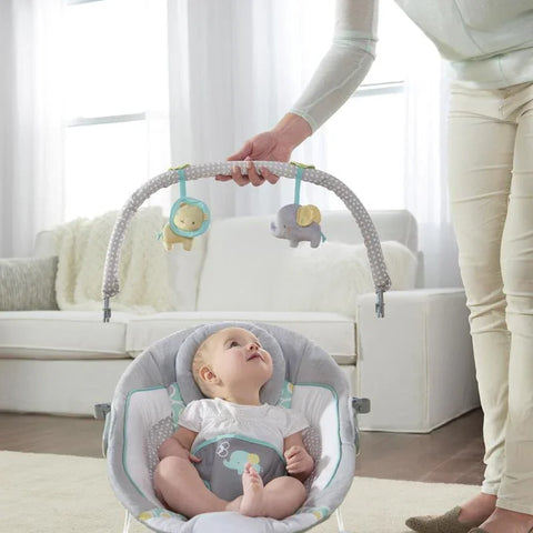 INGENUITY Morrison™ - Soothing Bouncer