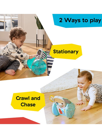 Baby Einstein Παιχνίδι Chase & Tap Earl™ Interactive Crawling Toy