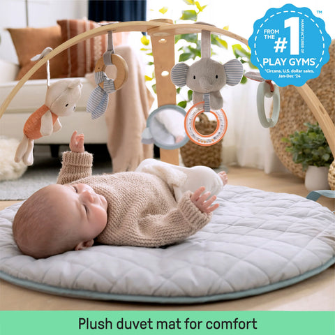 Ingenuity Cozy Spot Duvet Activity Gym