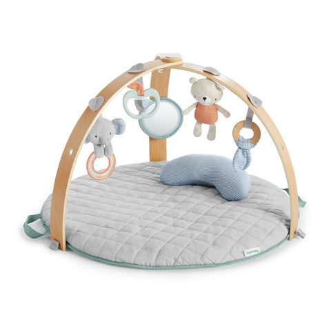 Ingenuity Cozy Spot Duvet Activity Gym
