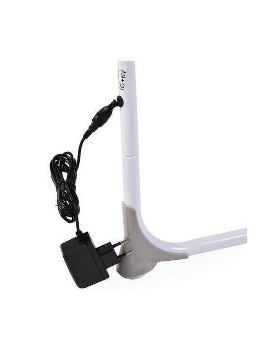 Cangaroo - Cangaroo baby swing + - Mari Kali Stores Cyprus