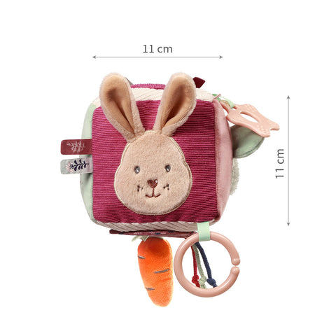 Babyono Rabbit Karo Sensory Cube