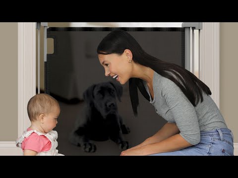 Ingenuity Thruway 52W Series™ Tuckaway™ Retractable Safety Gate