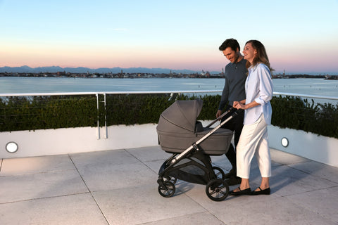 Inglesina Aptica Quattro Set με Πορτ-μπεμπέ, Stand & Darwin Infant Recline EVO 2026