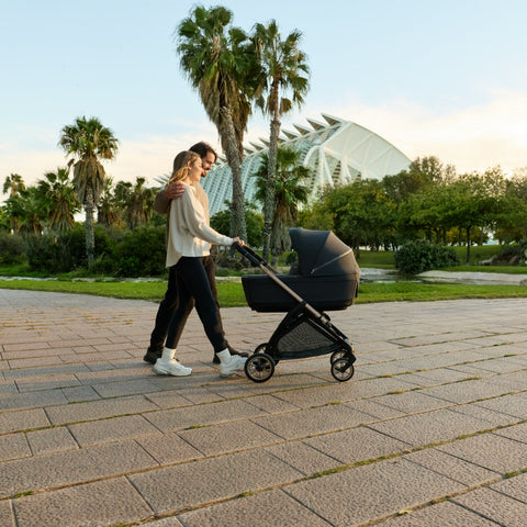 Inglesina Electa Quattro Set με Πορτ-μπεμπέ, Stand & Darwin Infant Recline EVO 2026