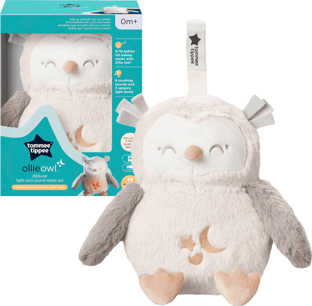 SLEEPY OWL THE HARMONICS 1本 Amazon.com: By the Orchid and the Owl: The Esholian Institute
